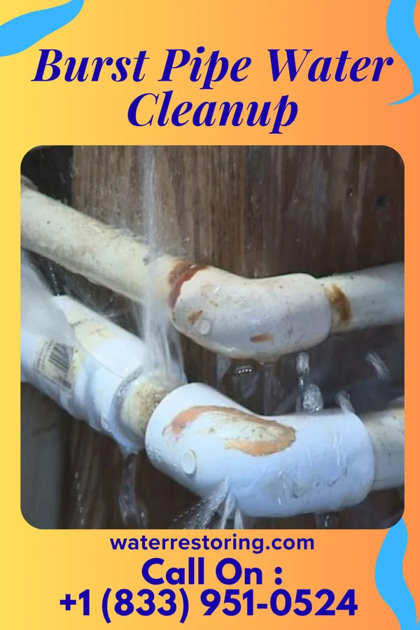Burst Pipe Water Cleanup in Defiance, IA