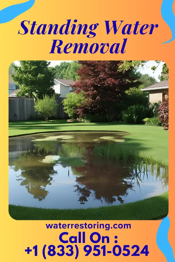 Standing Water Removal in Defiance, IA